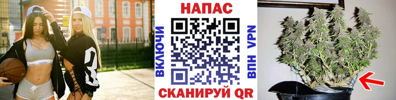 Где купить наркоту Колпашево Гашиш  Амфетамин  Мефедрон  Псилоцибиновые грибы  СОЛЬ 