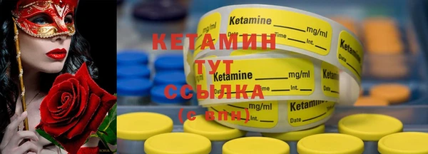 индика Богородск