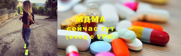 дмт Богданович