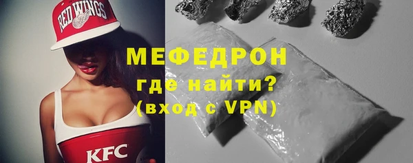 индика Богородск