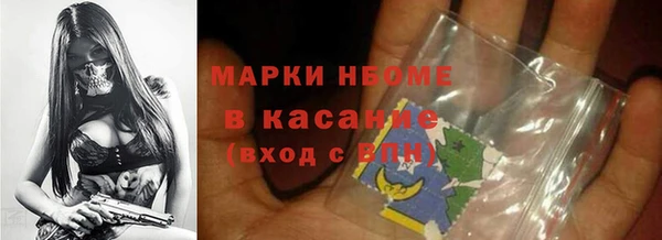 индика Богородск