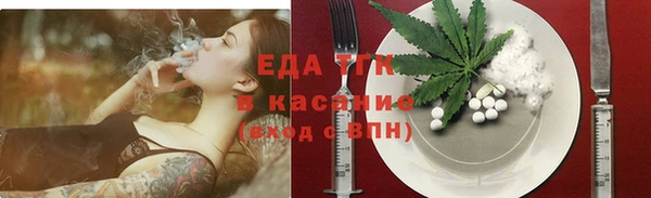индика Богородск