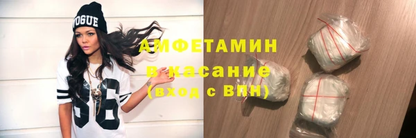 дмт Богданович