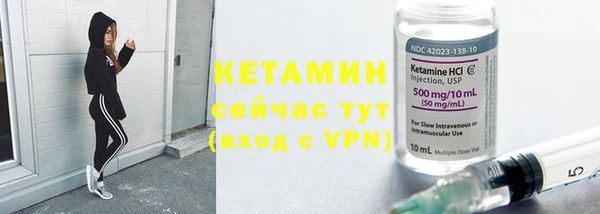 индика Богородск