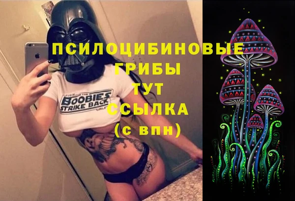 дмт Богданович