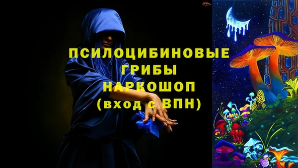 индика Богородск