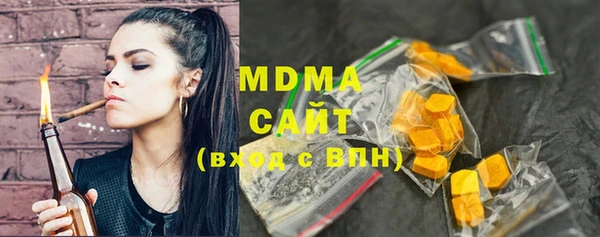 индика Богородск