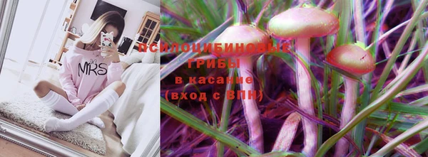 индика Богородск