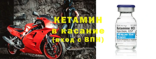 дмт Богданович