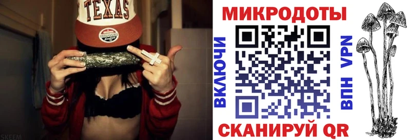 Галлюциногенные грибы Psilocybine cubensis  Колпашево 